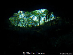 the eye of the cenote
Taj Mahal cenote by Walter Bassi 